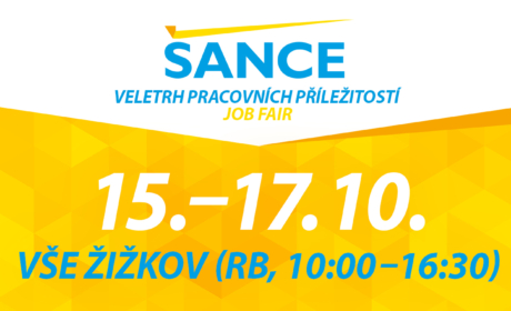 Convergence of the Czech economy after EU accession and opportunities for the future