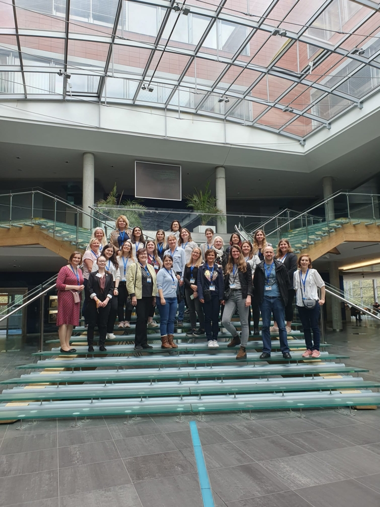 International Office staff from 16 countries will meet this week at VSE
