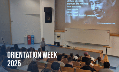 A record number of international students starting Fall semester 2025 at VSE