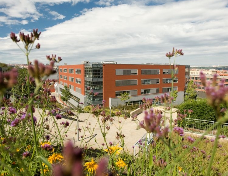 VŠE rozvíjí spolupráci s pražskými univerzitami v environmentální oblasti