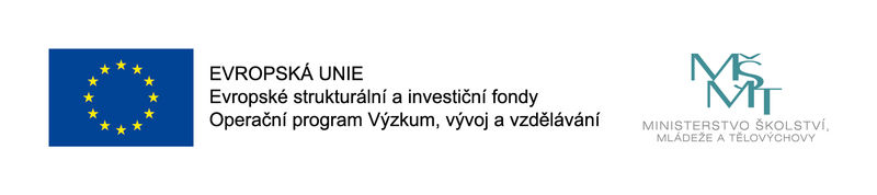 Operační program Výzkum, vývoj a vzdělávání – Rozvoj VŠE ESF