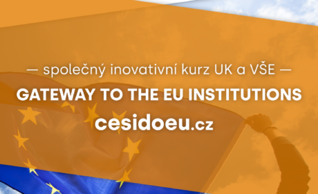 Exekutivní vzdělávání: Příprava na kariéru v institucích EU