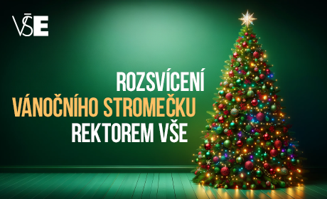 Rozsvícení vánočního stromečku rektorem VŠE – 12. 12.